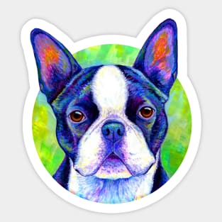 Effervescent Colorful Boston Terrier Dog Sticker